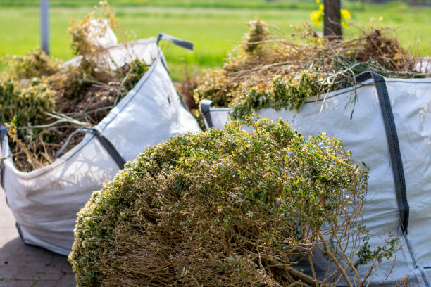 Best Affordable Junk Removal Services  in Clearlake Oaks, CA